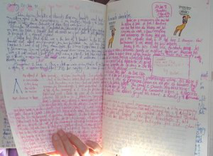 Deborah shared some of the things she uses her journals for: