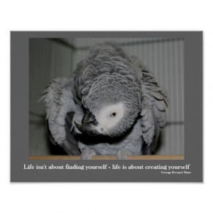 parrot quotations