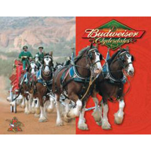 Budweiser Clydesdales tin sign