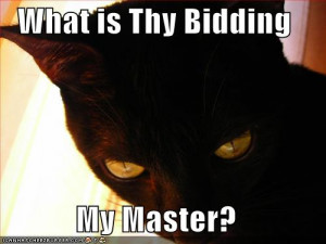 Funny - star-wars-comedy Photo