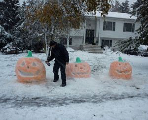 Funny photos funny snow pumpkin winter