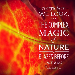 the complex magic of nature blazes before our eyes. –Van Gogh #quote ...