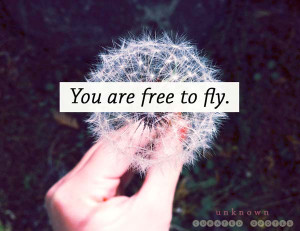 The 49 Most Inspirational Flying Quotes