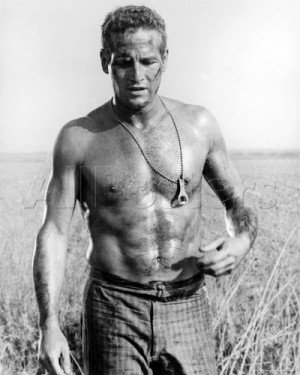 ... Paul Newman ;) mira que me gustaba este hombre *o* DEWWWWWWWWWWWWWWWW