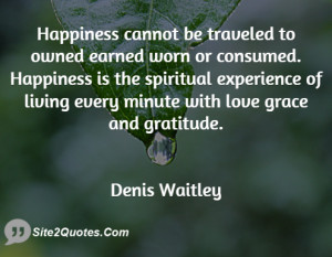 Happiness cannot be traveled to owned earned worn or consumed ...