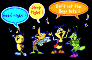 Don't Let the Bed Bugs Bite!