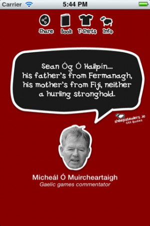 hurling quotes