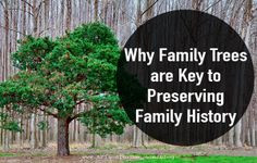 are for wanting to preserve your family history – creating a family ...
