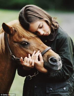 Love and affection: The bond that develops between a horse and its ...