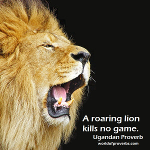 Photo by Tambako the Jaguar