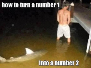 man peeing in water, shark swimming, funny captions