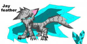 Jay Feather Warrior Cat Drawings