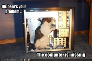 funny-pictures-cat-fixes-your-computer is tagged from: funny-pictures ...
