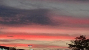 ... ll Understand Why Some Are Calling It the Most Patriotic Sunset Ever