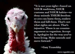 Pinned by Amy Dynamo