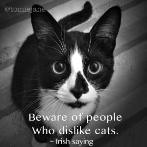 Beware of people that dislike cats. ~ Irish saying (Sully)