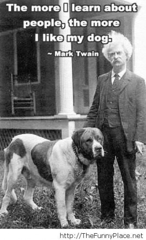 ... like quote funny like quote like dog quote like quote new like dog