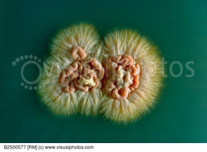 Funny Quotes Contact Us DMCA Notice