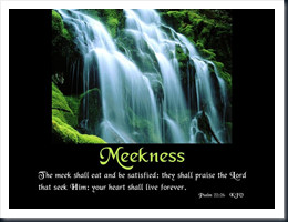 Fruit of the Spirit: Meekness