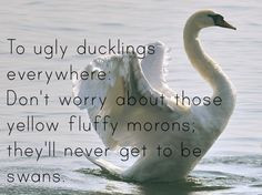 ugly ducklings everywhere more ugly ducklings quotes ugly duckling ...