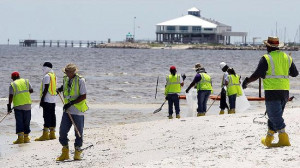 ... Gulf of Mexico oil spill. Picture by Getty Images Source: Getty Images