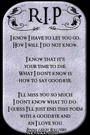 dog rest in peace quotes quotesgram martain luther king day