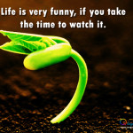 love it when I catch you looking at me