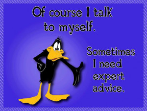 ... , Daffy Ducks, Funny Quotes, Funny Stuff, Things, Expert Advice, Talk