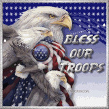 Support Our Troops & Military Preview Image 1