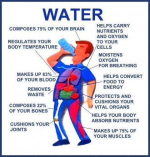 IMPORTANCE OF WATER,WHY WE WANT TO DRINK WATER,BENEFIT OF DRINKING ...