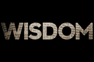 Godly Wisdom (Part 2)