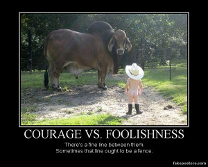 Courage Vs. Foolishness - Demotivational Poster | FakePosters.com