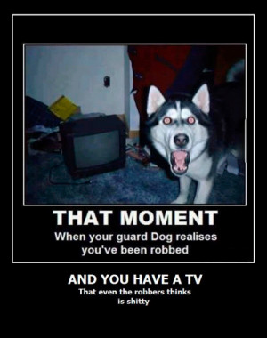 that-moment-when-you-realize-you-have-a-TV-that-even-the-robbers ...