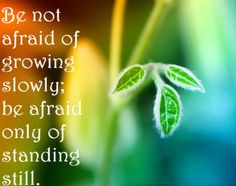 personal growth and development quotes - Google Search