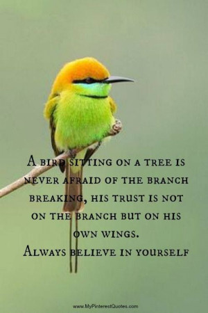 ... on the branch, but on her own wings. Always believe in yourself