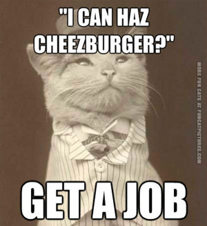 Meet Aristocat 12 pics