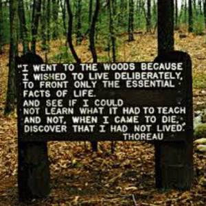 The Woods, Henry David Thoreau