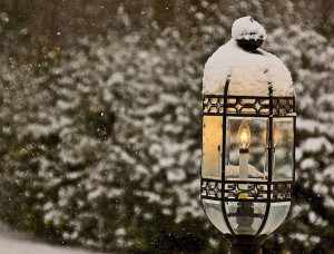 beautiful, illumination, lamp, light, narnia, post light, snow, winter