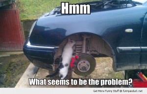 cat under car lolcat mechanic seems problem animal funny pics pictures ...