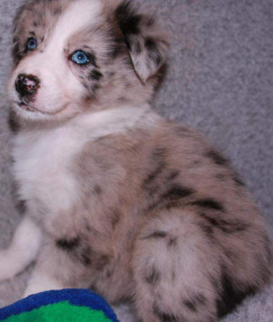 Funny Quotes Contact Dmca...