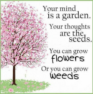 Your mind is a garden. Your thoughts are the seeds. You can grow ...