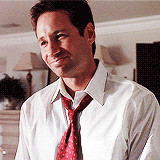 The X Files Fox Mulder my favorite idiot