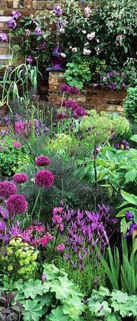 Chelsea herb garden // Great Gardens & Ideas //