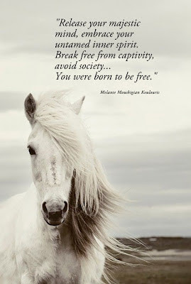 Release your majestic mind, embrace your untamed spirit. Break free ...