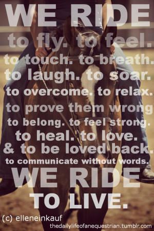 730 x 1095 px 1 year, 11 months ago 915 views