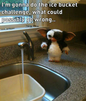 Gremlins Ice Bucket Challenge – (Meme)