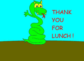 Thank you for lunch!
