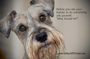 Filed Under: dog quote , dog training Tagged With: dog training quote ...
