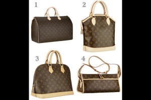 Louis Vuitton Picture Slideshow