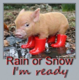 Rain or Snow im ready